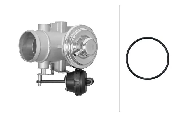 EGR Valve