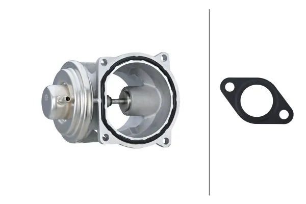 EGR Valve