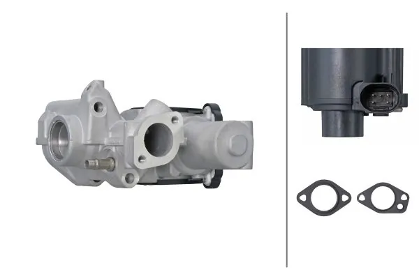 EGR Valve