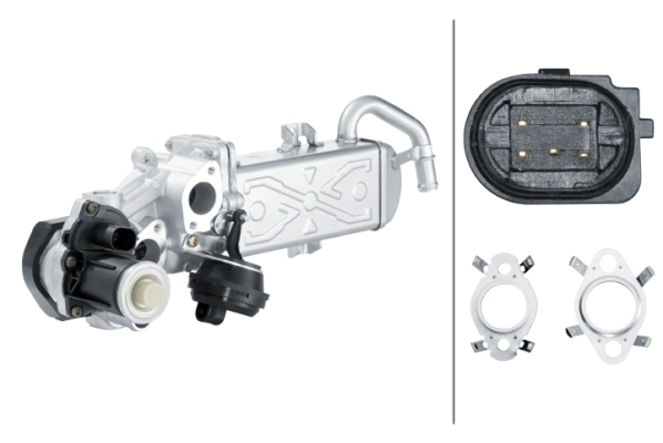 EGR Module