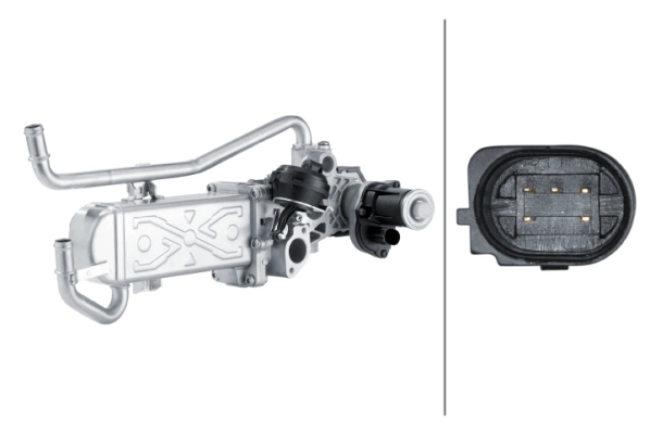 EGR Module