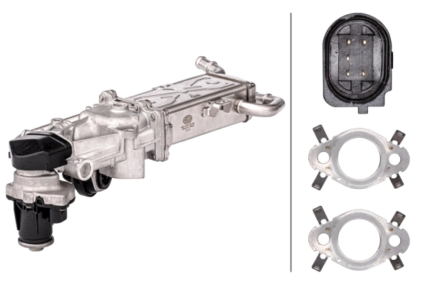 EGR Module
