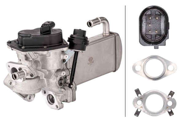 EGR Module