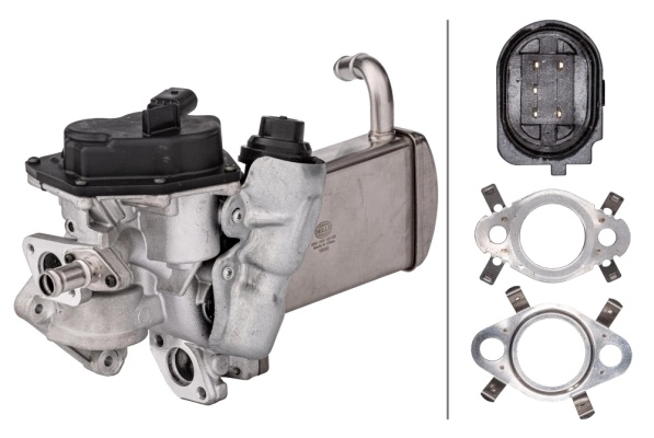 EGR Module