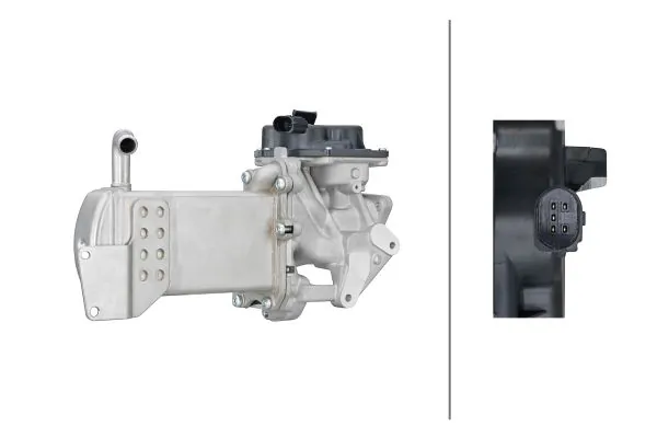 EGR Module
