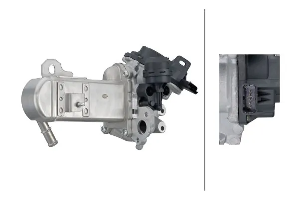 EGR Module