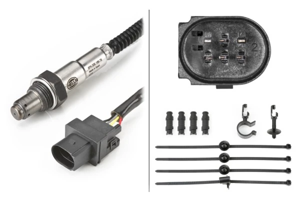 Oxygen Sensor