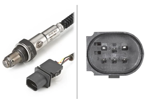 Oxygen Sensor