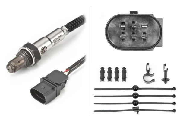 Oxygen Sensor