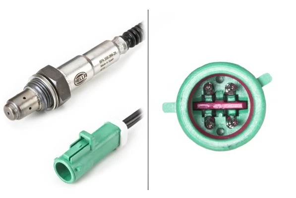 Oxygen Sensor