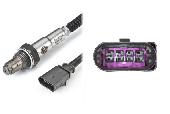 Oxygen Sensor