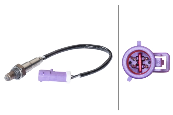 Oxygen Sensor