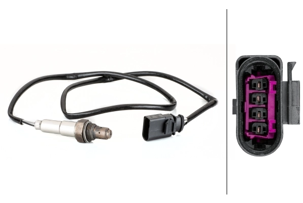 Oxygen Sensor