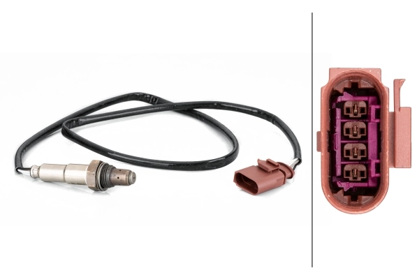Oxygen Sensor