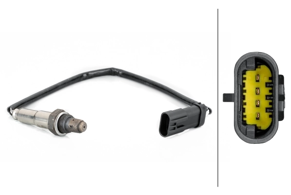 Oxygen Sensor
