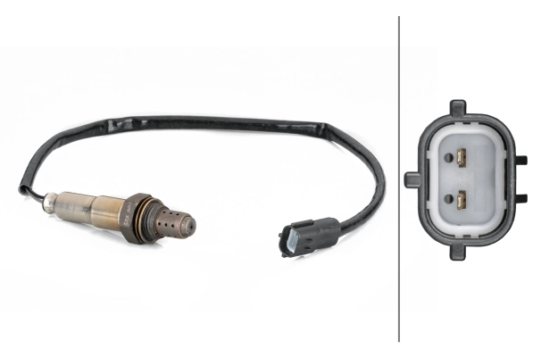Oxygen Sensor