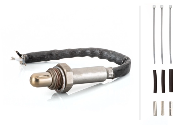 Oxygen Sensor