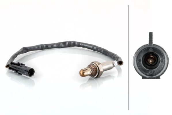 Oxygen Sensor
