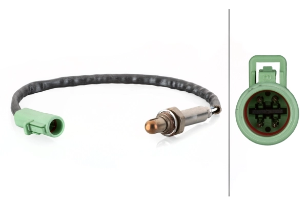 Oxygen Sensor