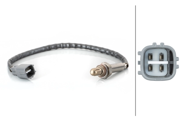 Oxygen Sensor