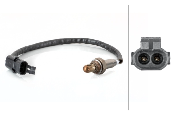 Oxygen Sensor