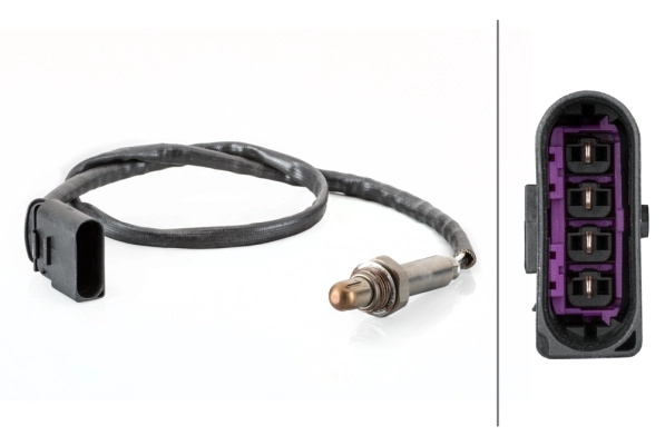 Oxygen Sensor