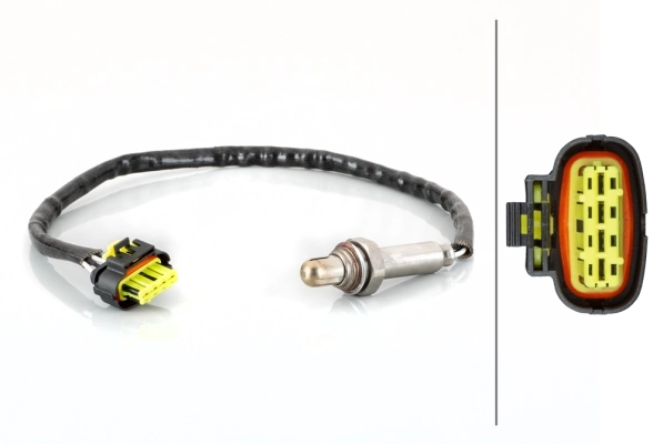 Oxygen Sensor