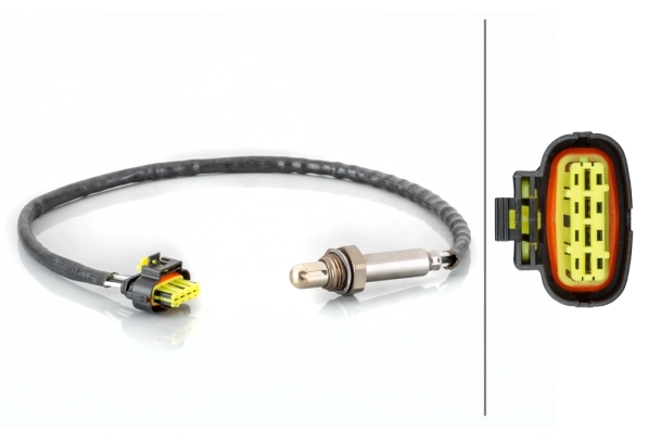 Oxygen Sensor