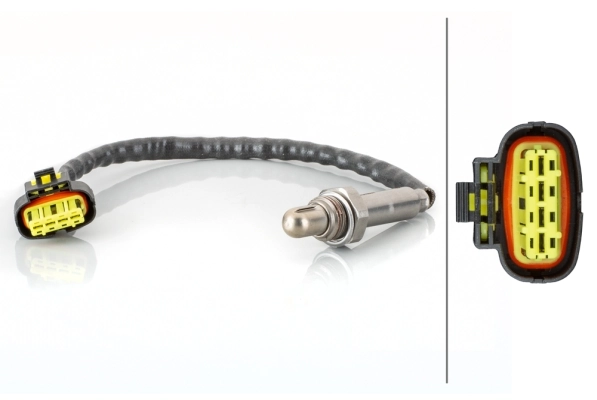 Oxygen Sensor