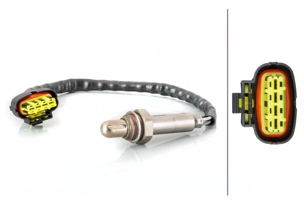 Oxygen Sensor