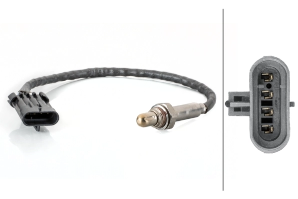 Oxygen Sensor