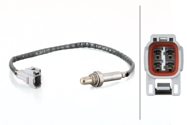 Oxygen Sensor
