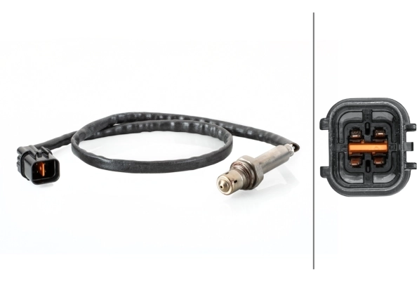 Oxygen Sensor