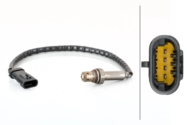 Oxygen Sensor