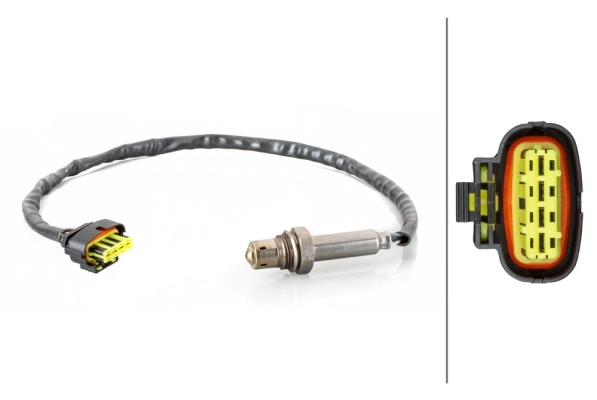 Oxygen Sensor