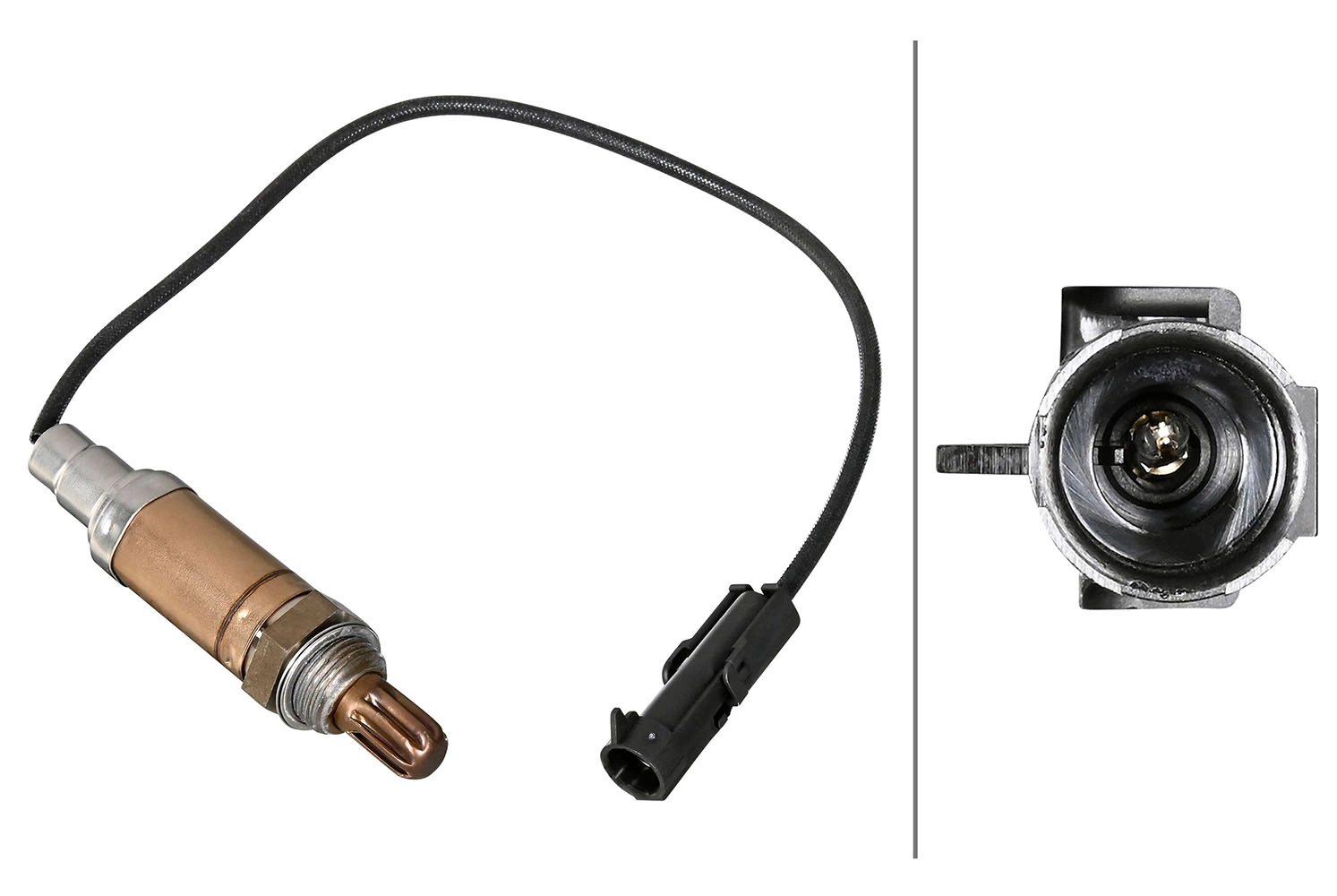 Oxygen Sensor