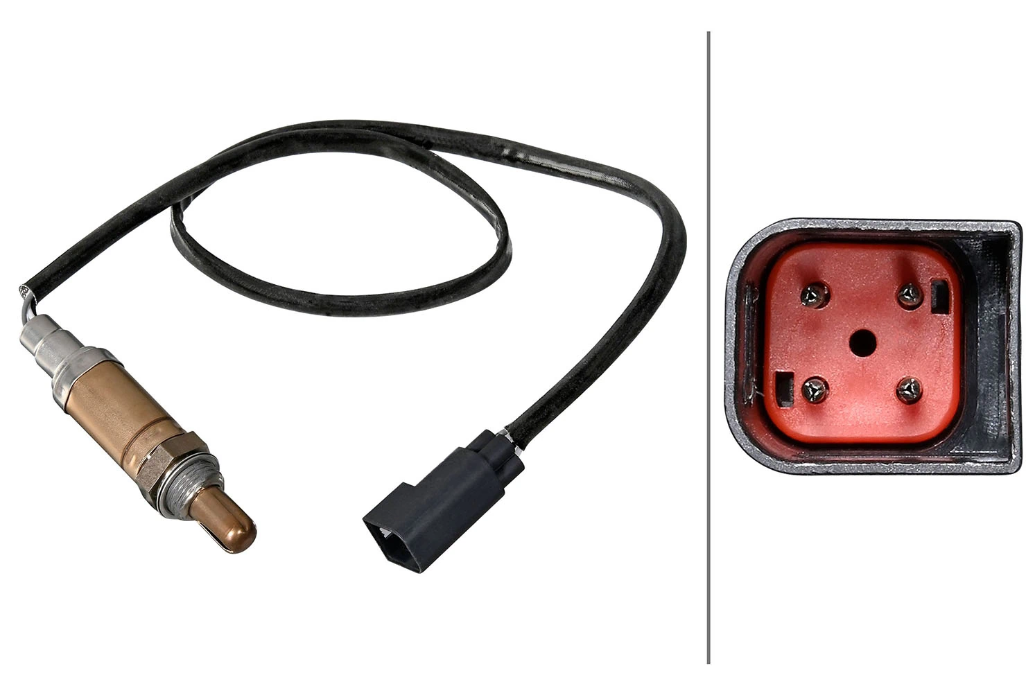 Oxygen Sensor