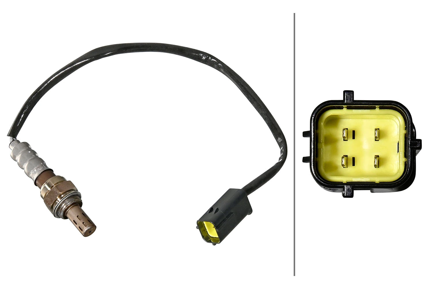 Oxygen Sensor