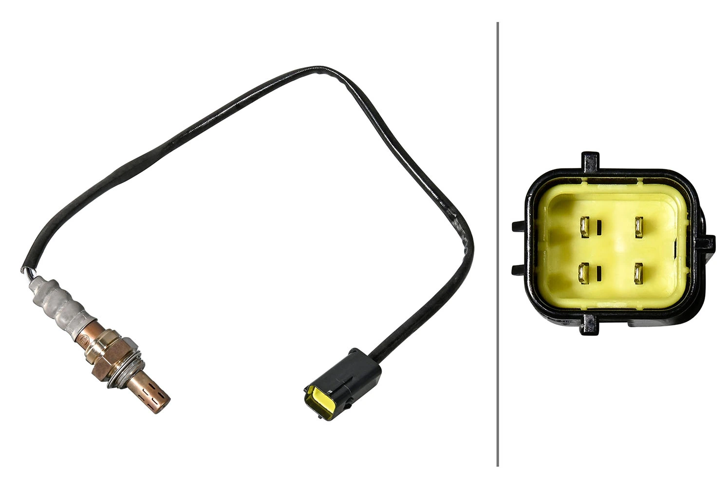 Oxygen Sensor