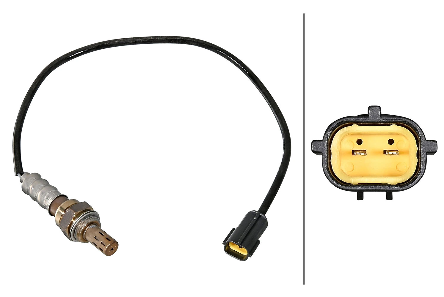 Oxygen Sensor