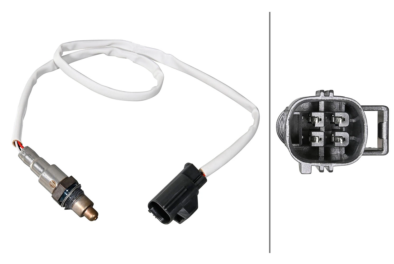 Oxygen Sensor