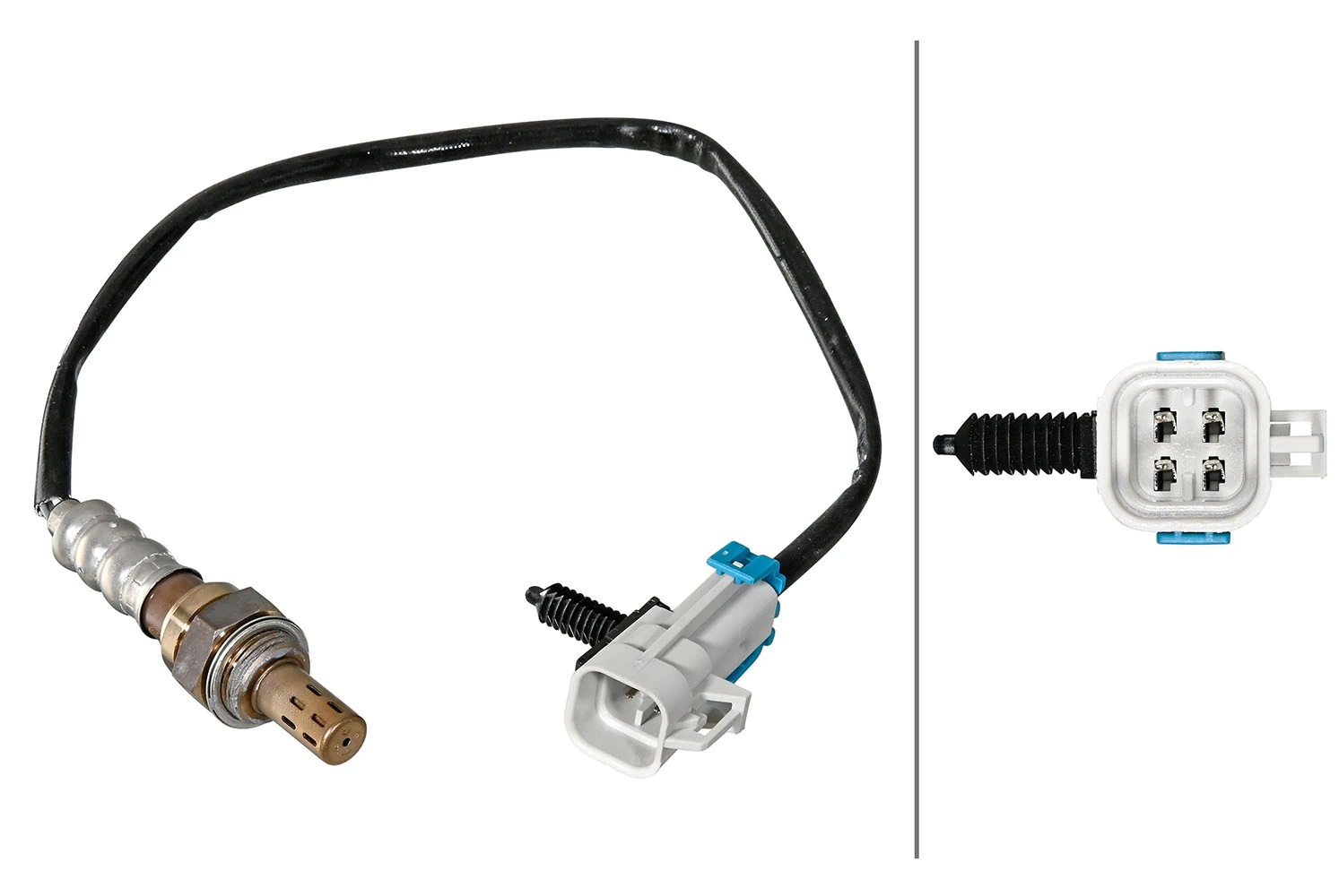 Oxygen Sensor