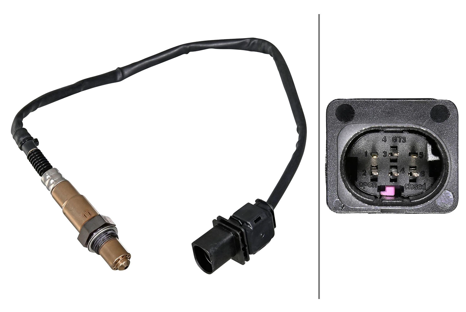 Oxygen Sensor