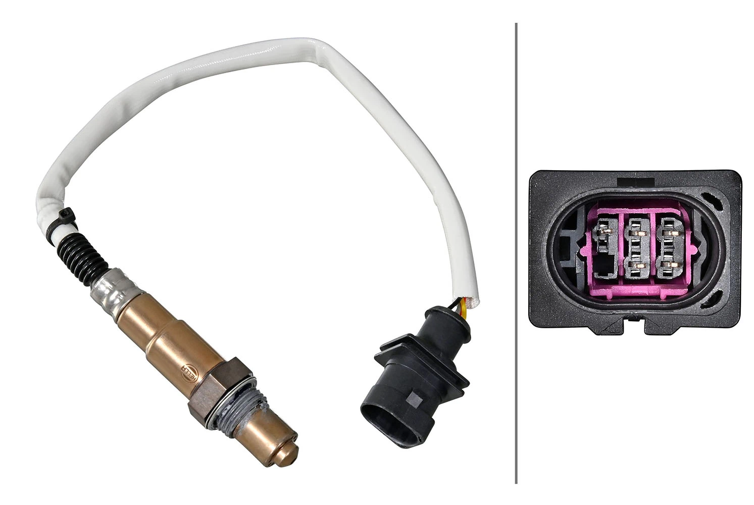 Oxygen Sensor