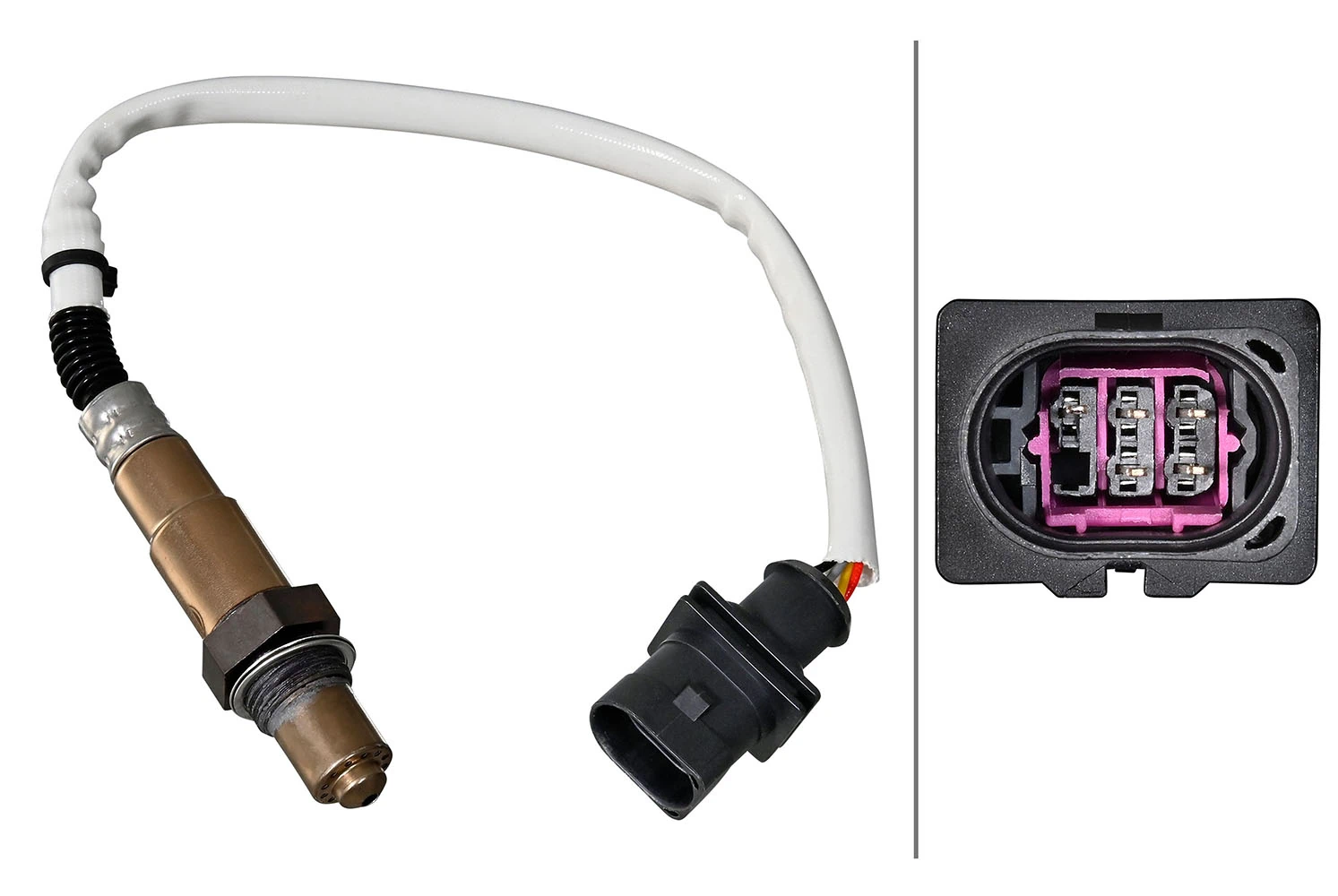 Oxygen Sensor