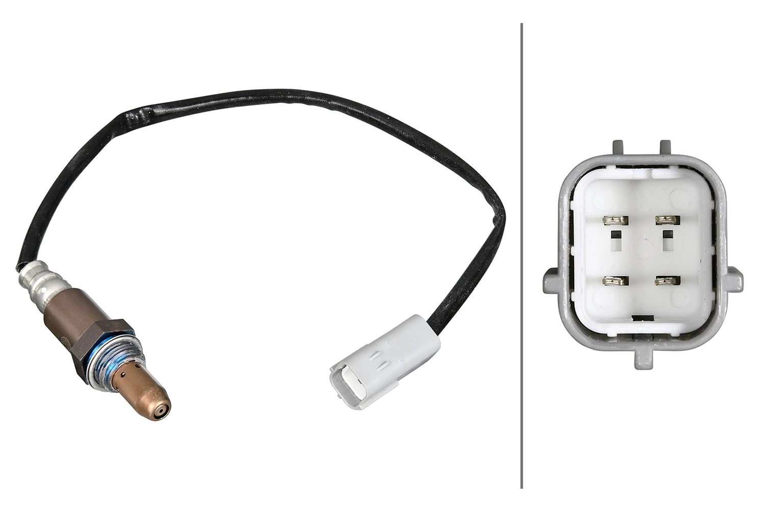Oxygen Sensor