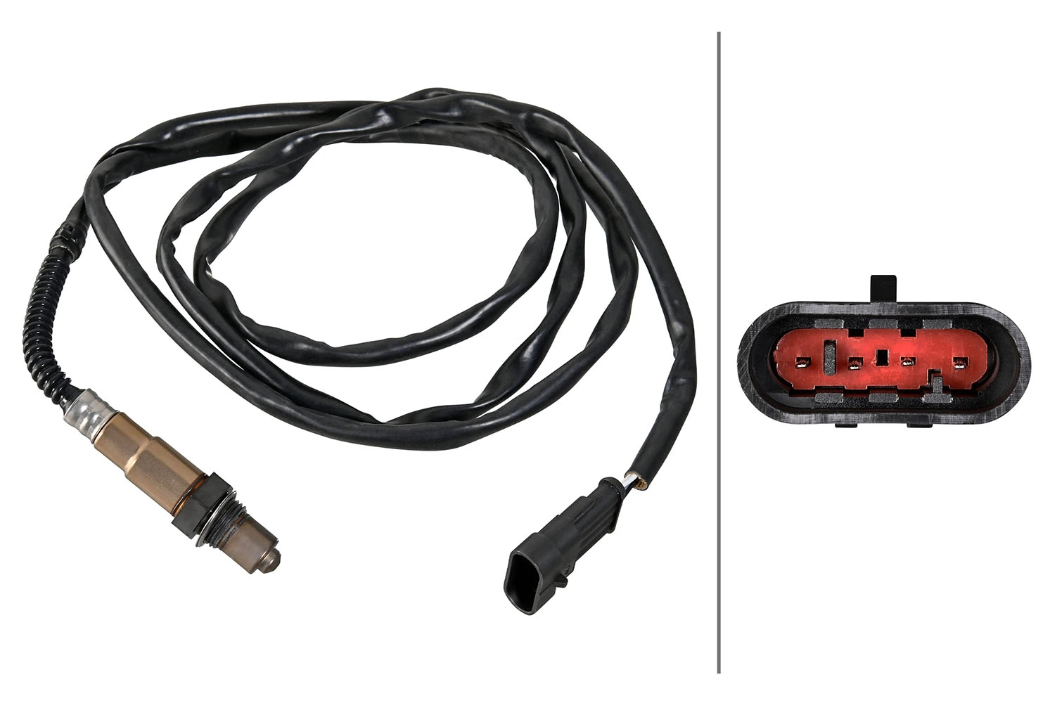 Oxygen Sensor