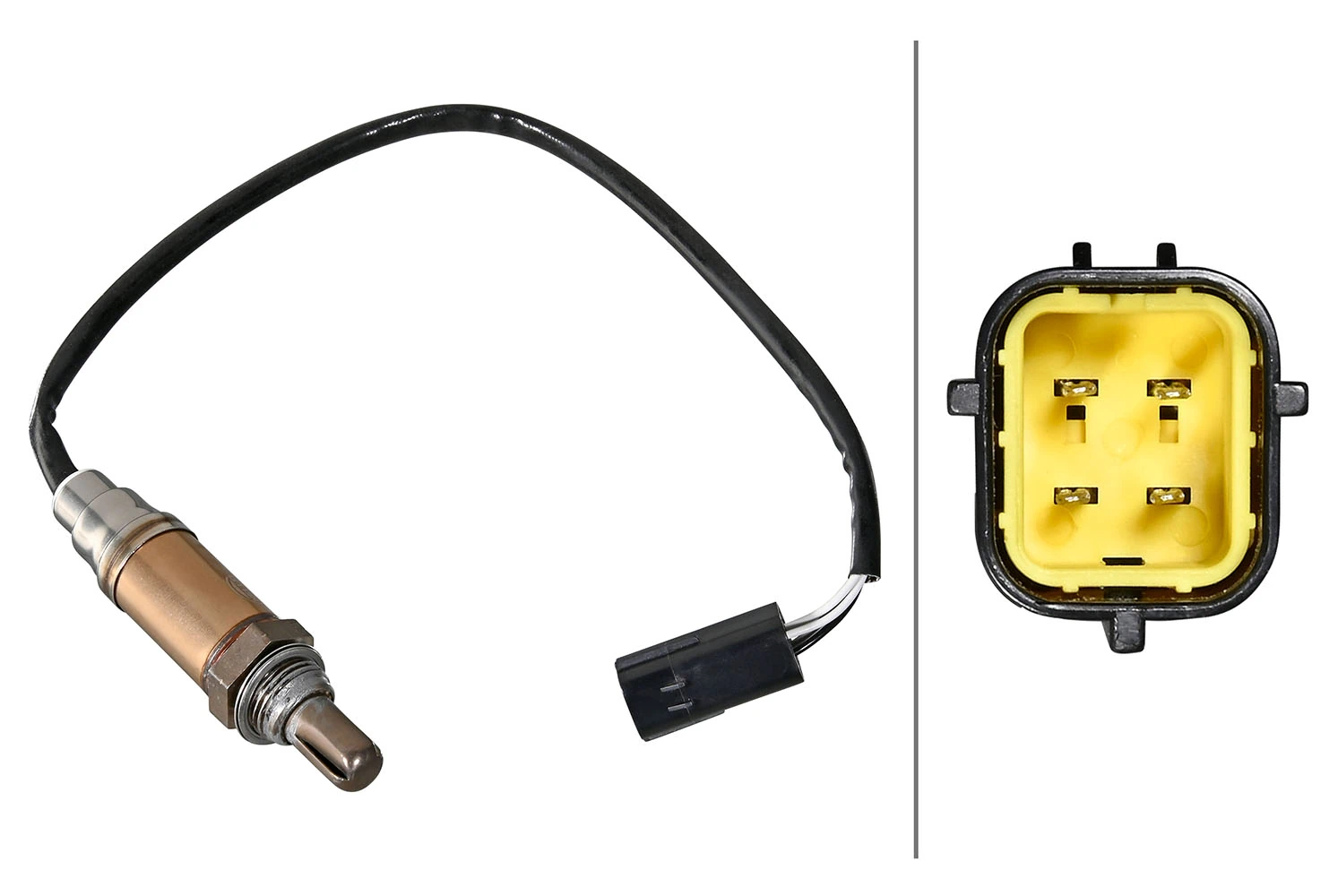 Oxygen Sensor