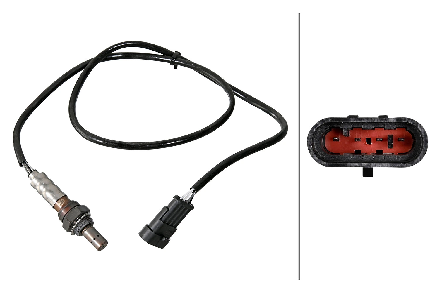 Oxygen Sensor