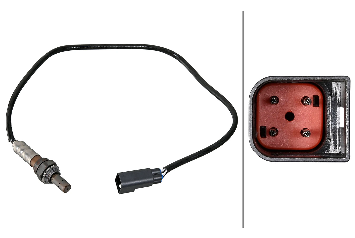 Oxygen Sensor